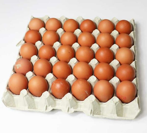 A tray of 30 eggs