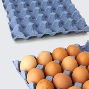 A full tray of eggs and an empty tray