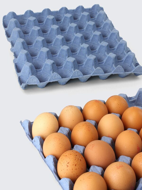 A full tray of eggs and an empty tray
