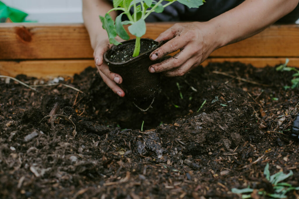 Top 5 Uses for Compost